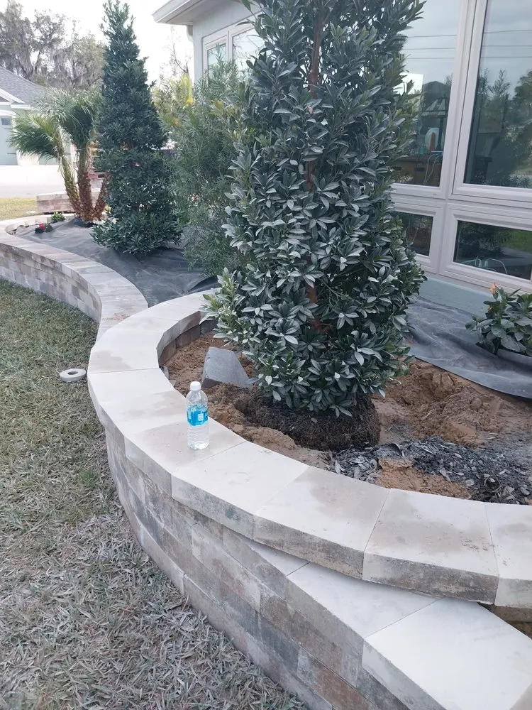 Top-rated yard cleanup service in Wildwood, FL by Mendoza Cleaning Landscaping & More