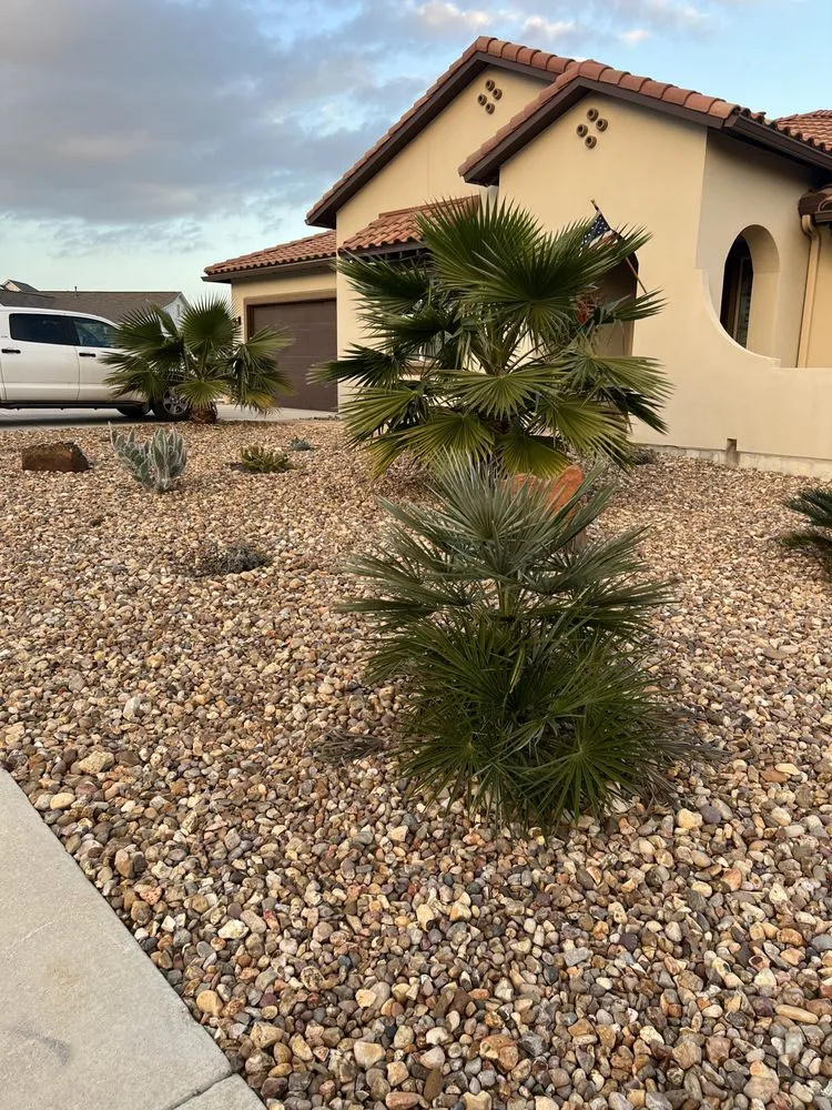 Professional landscaping services experts serving Austin, TX - Mendoza Construction & Design