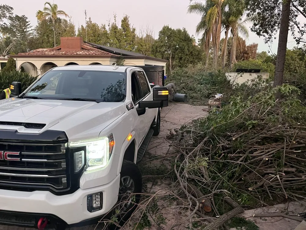 Reliable outdoor landscaping for year-round maintenance in San Diego, CA by Mendoza Developing Group