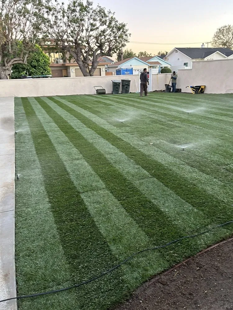 Trusted residential landscaping experts serving Santa Ana, CA - Mendoza Landascapings