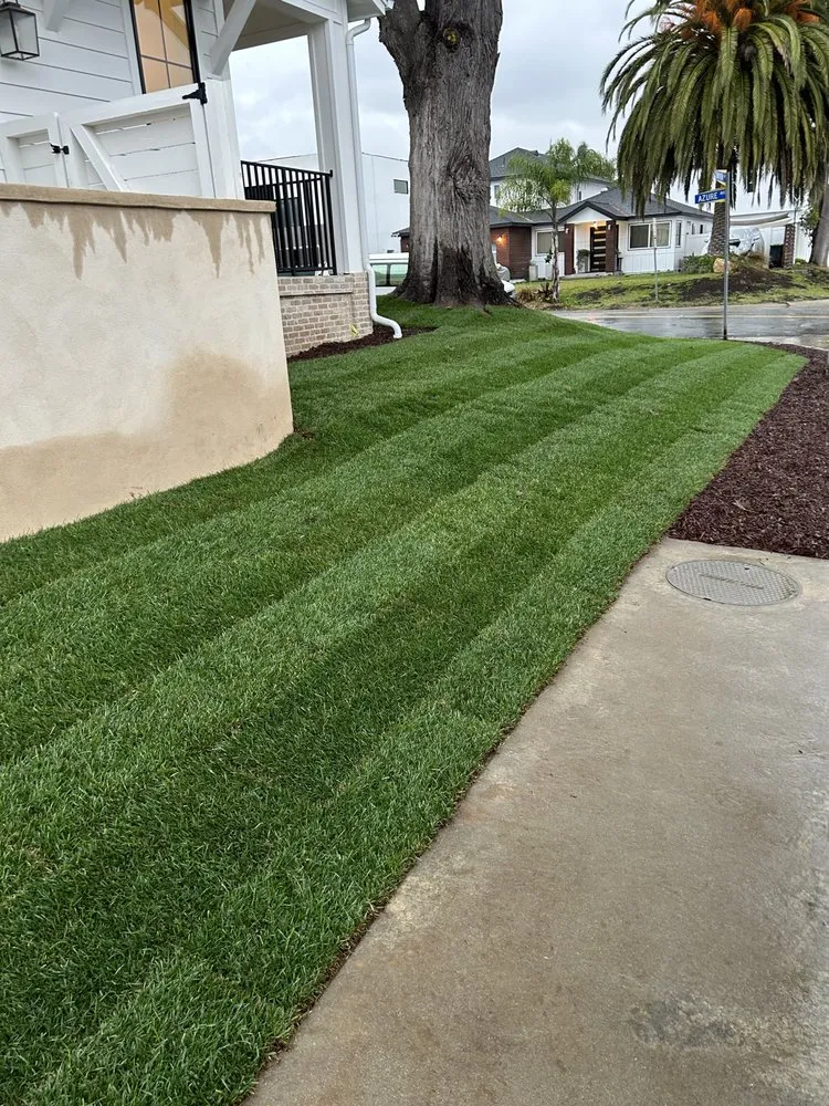 Expert yard maintenance in Santa Ana, CA - Mendoza Landascapings