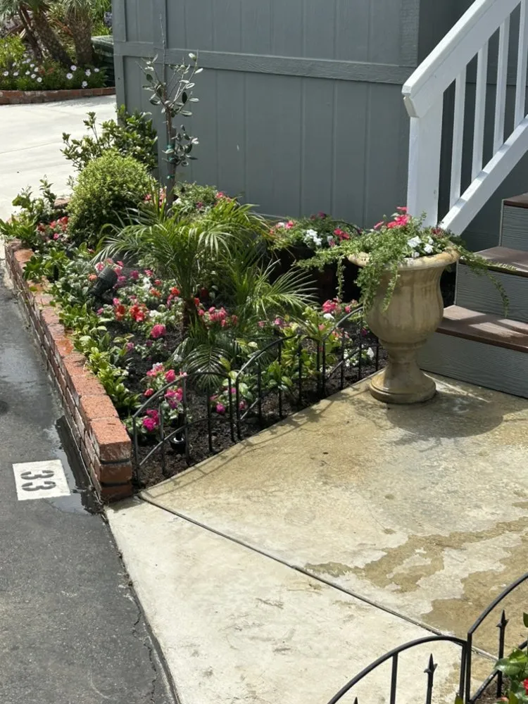 Expert landscape design near you in Santa Ana, CA by Mendoza Landascapings