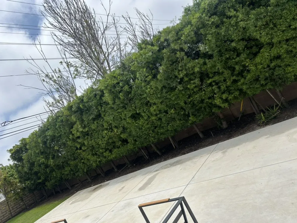 Top-rated outdoor landscaping with custom design in Santa Ana, CA by Mendoza Landascapings