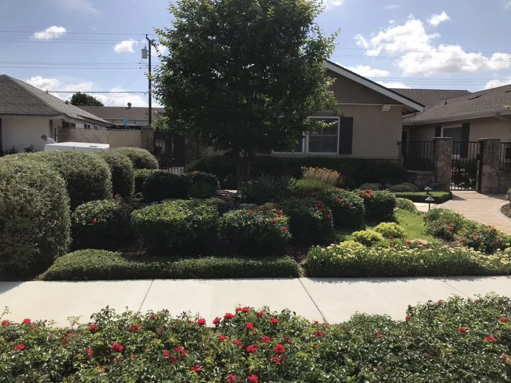 Expert garden landscaping in Santa Ana, CA by Mendoza Landascapings