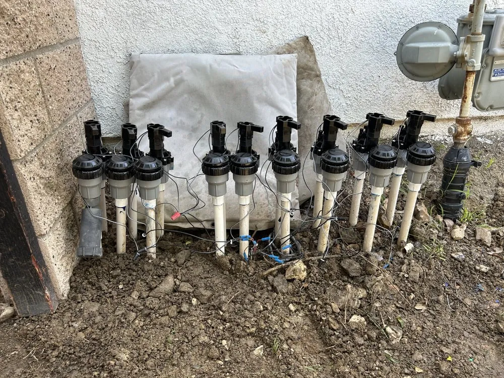 Top-rated yard maintenance in Santa Ana, CA - Mendoza Landascapings