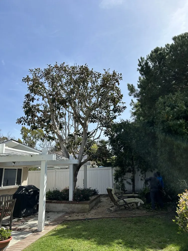 Expert landscaping services for residential properties across Santa Ana, CA - Mendoza Landascapings