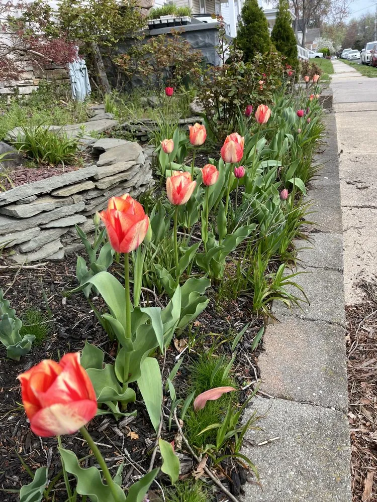 Reliable outdoor landscaping in Neptune City, NJ by Mendoza Landcaping