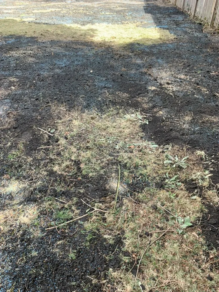 Professional yard maintenance in Neptune City, NJ - Mendoza Landcaping