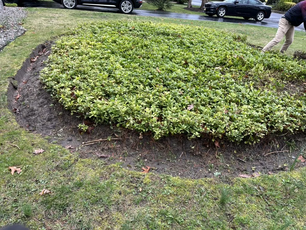 Trusted lawn care service experts serving Neptune City, NJ - Mendoza Landcaping