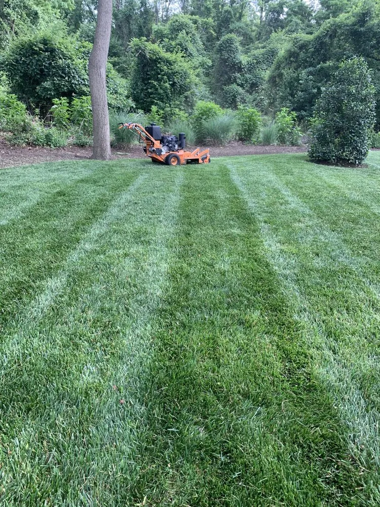 Trusted yard maintenance for residential properties in Neptune City, NJ by Mendoza Landcaping