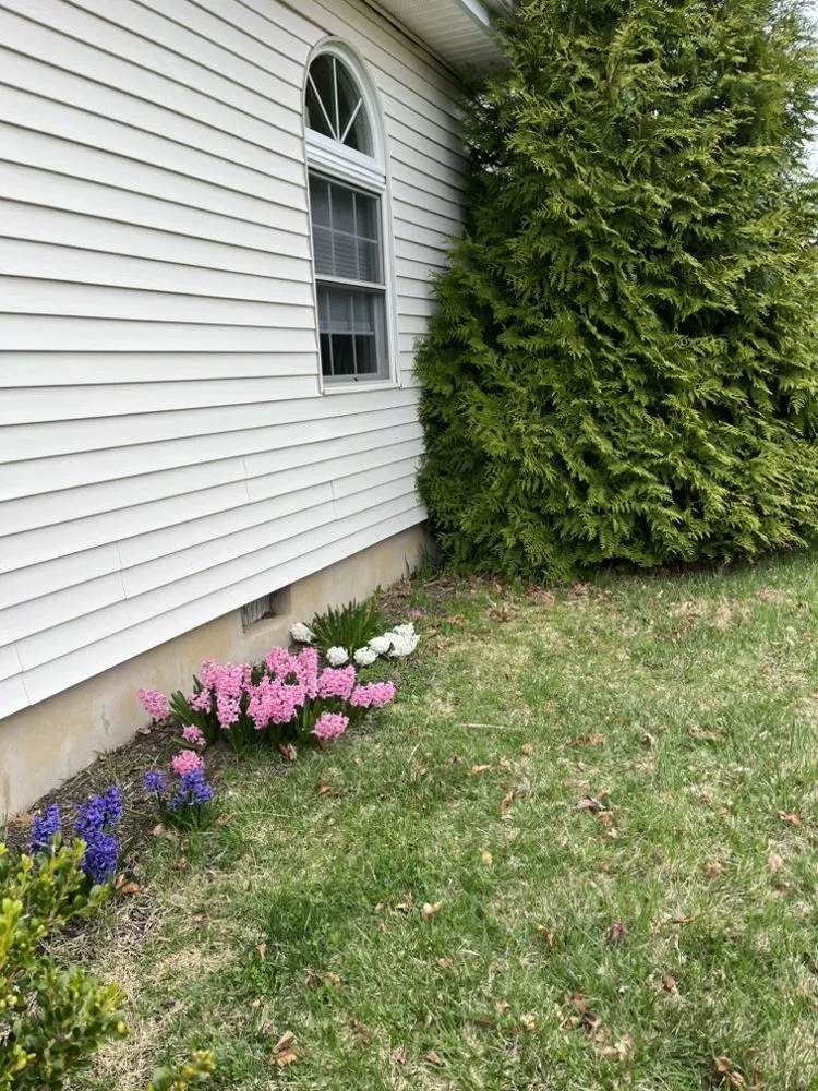 Affordable lawn mowing service in Neptune City, NJ - Mendoza Landcaping