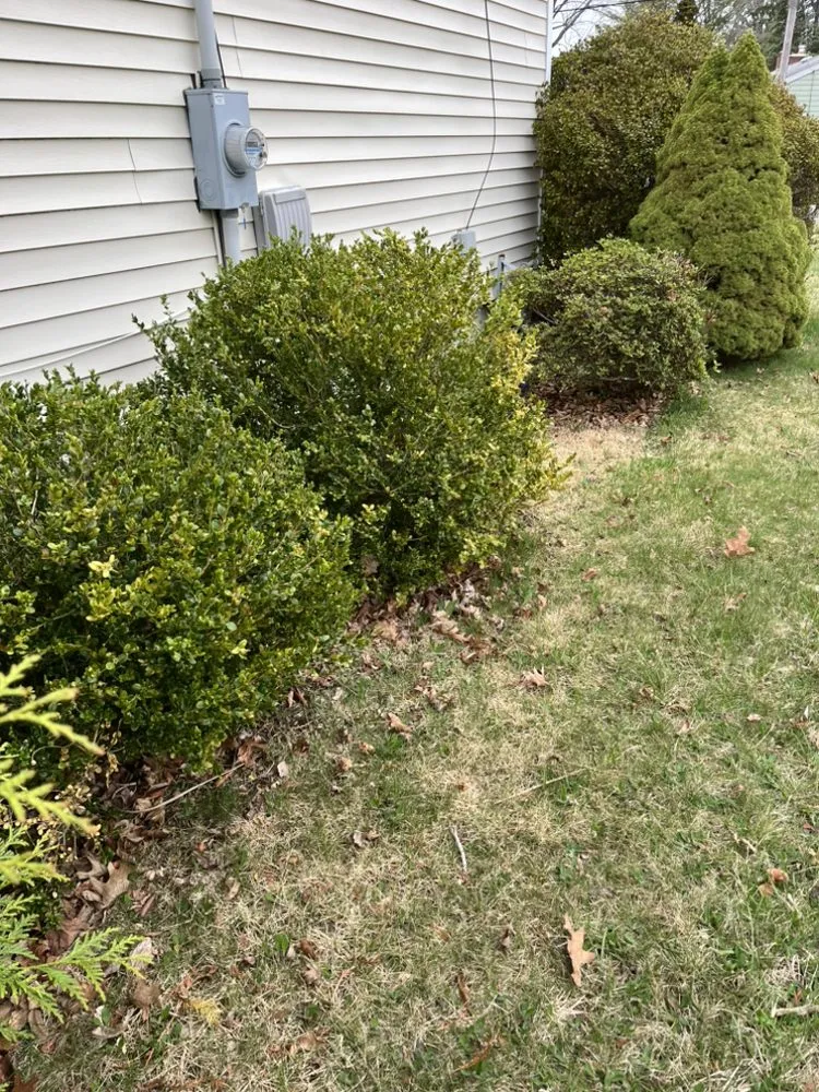 Trusted landscape installation for year-round maintenance in Neptune City, NJ by Mendoza Landcaping