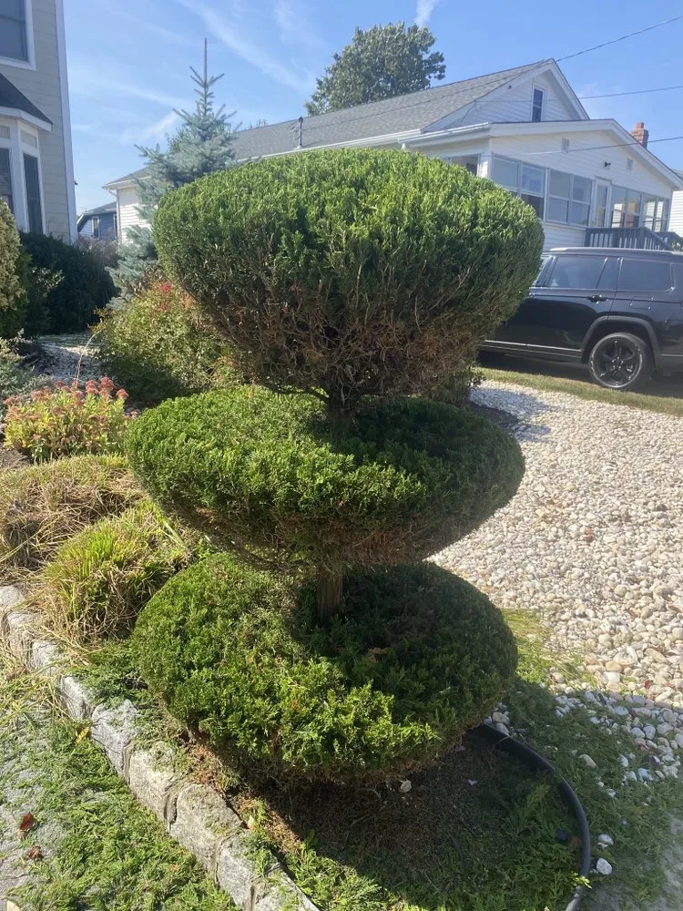 Custom outdoor landscaping experts serving Neptune City, NJ - Mendoza Landcaping