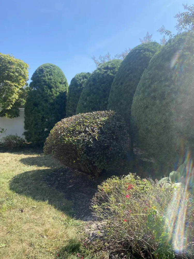 Custom lawn care service near you in Neptune City, NJ by Mendoza Landcaping