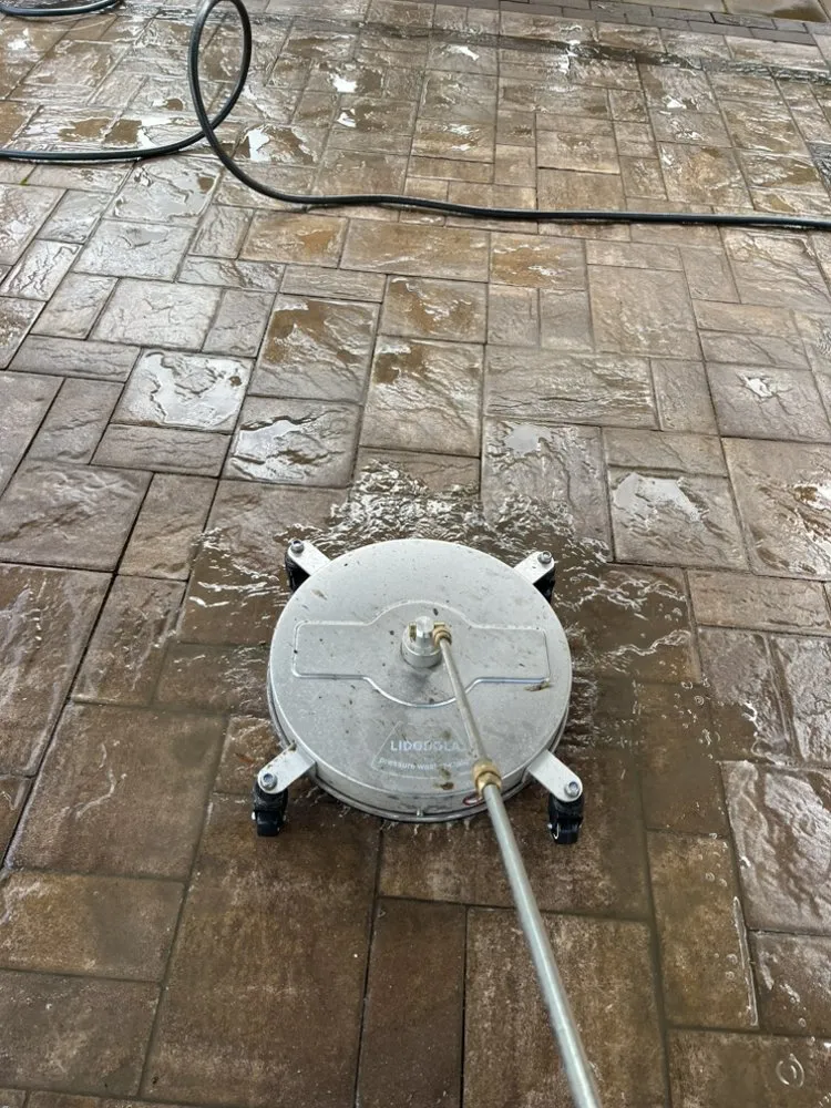 Local outdoor landscaping in Neptune City, NJ - Mendoza Landcaping