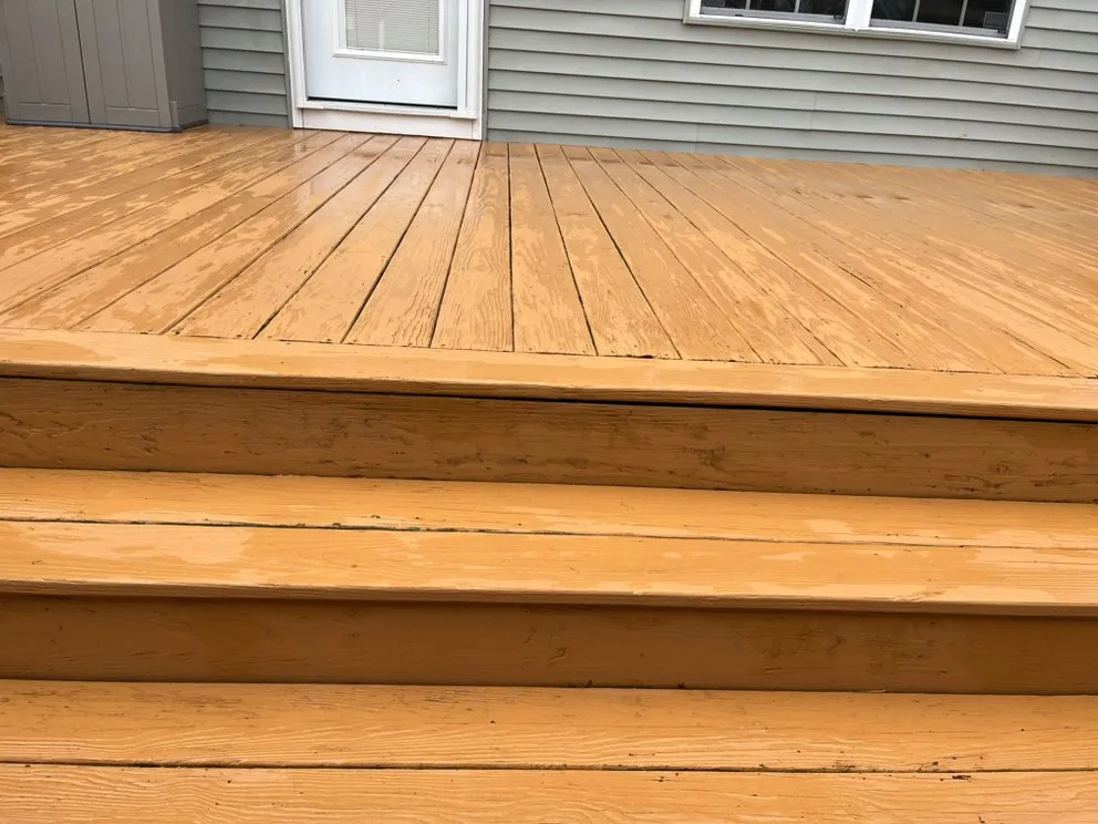 Affordable yard cleanup service for residential properties across Neptune City, NJ - Mendoza Landcaping