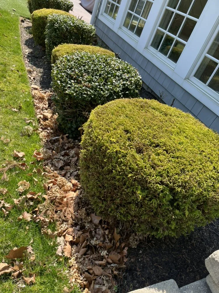 Reliable landscape installation experts serving Neptune City, NJ - Mendoza Landcaping