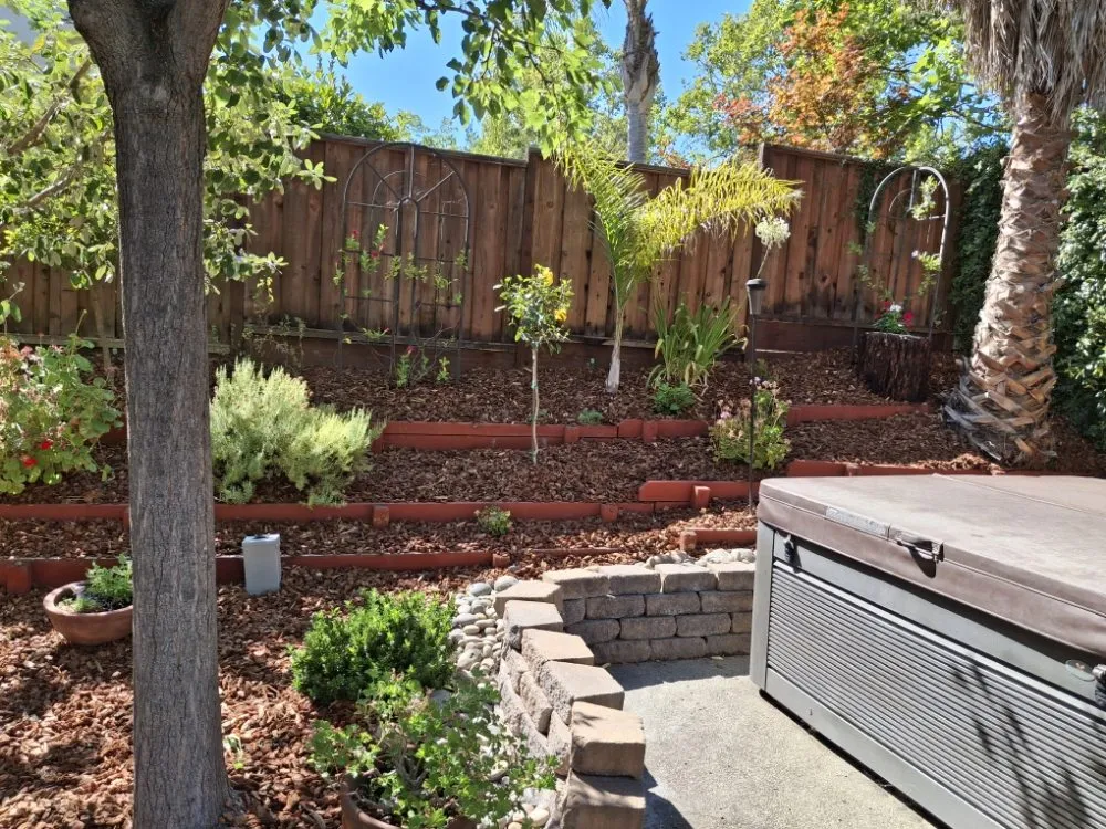 Reliable landscape installation near you in Livermore, CA by Mendoza Landscape