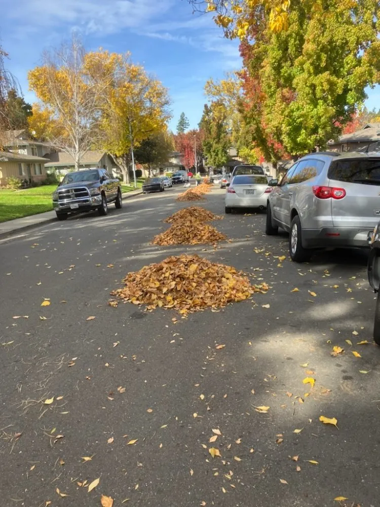 Custom lawn care service in Livermore, CA by Mendoza Landscape