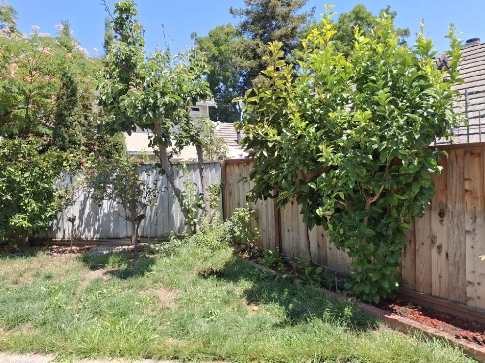 Local garden landscaping experts serving Livermore, CA - Mendoza Landscape