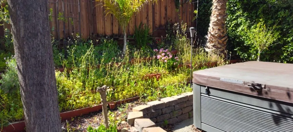 Custom lawn care service experts serving Livermore, CA - Mendoza Landscape