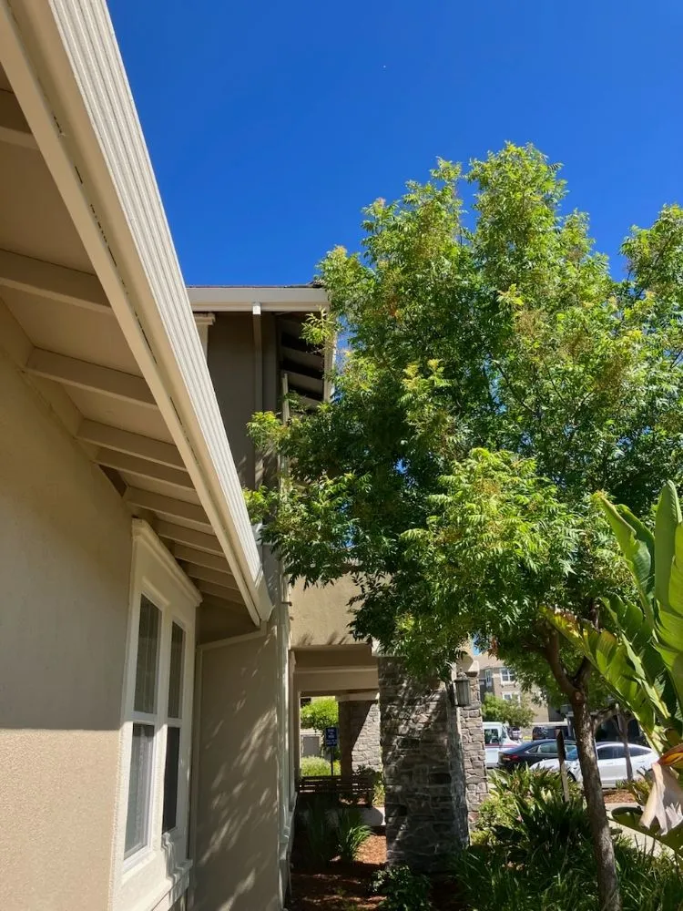 Expert landscape design in Livermore, CA by Mendoza Landscape