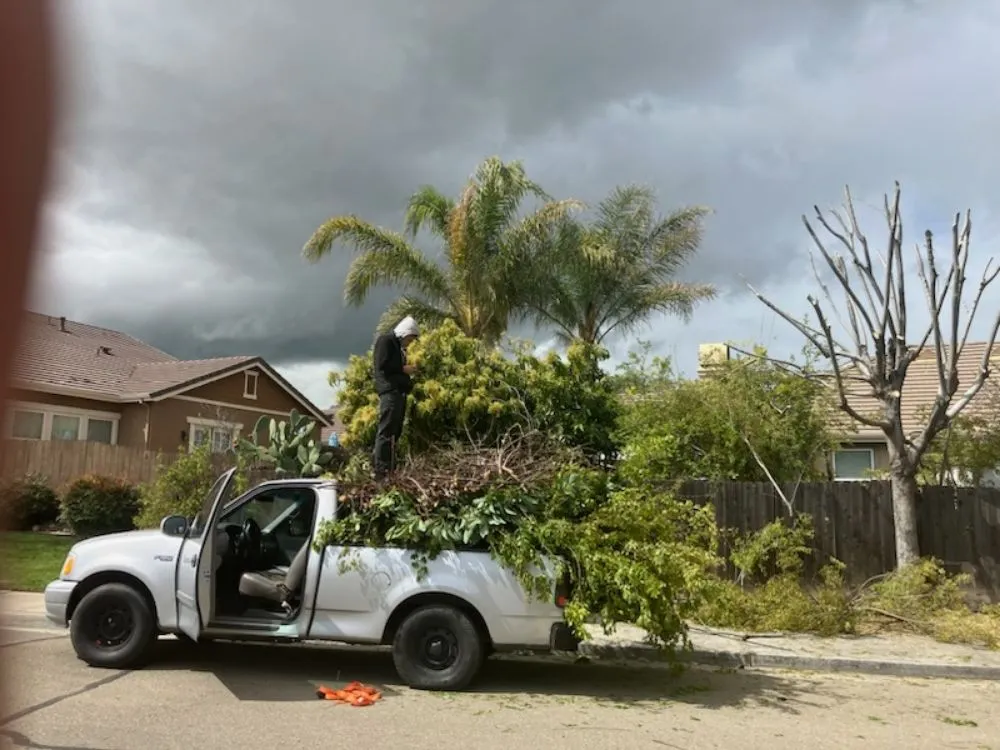 Top-rated lawn care service with custom design across Livermore, CA - Mendoza Landscape