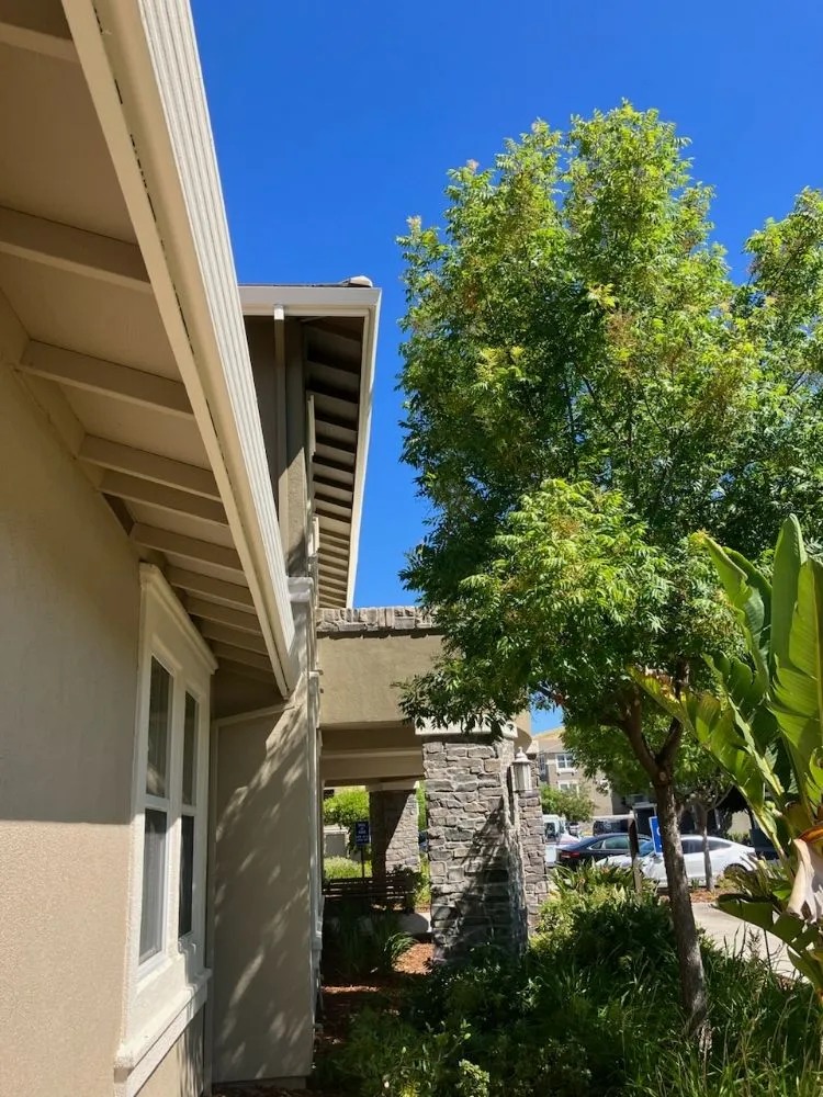 Local yard maintenance in Livermore, CA - Mendoza Landscape