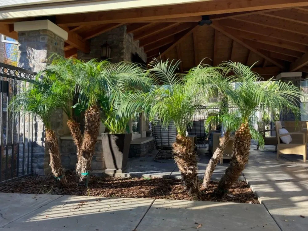 Custom landscaping services for residential properties across Livermore, CA - Mendoza Landscape