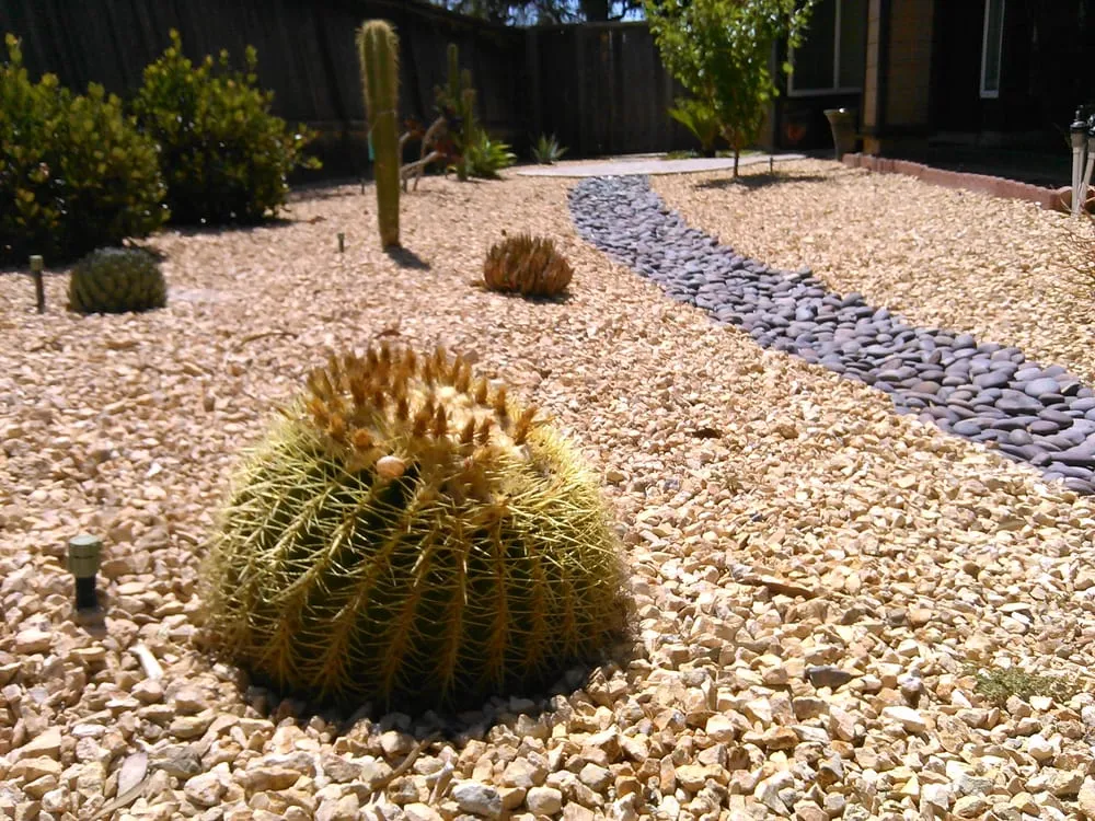 Reliable landscaping services in San Diego, CA - Mendoza Landscape