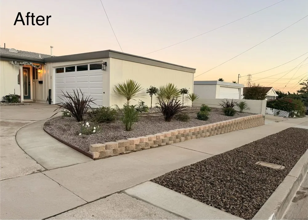 Custom lawn care service in San Diego, CA by Mendoza Landscape