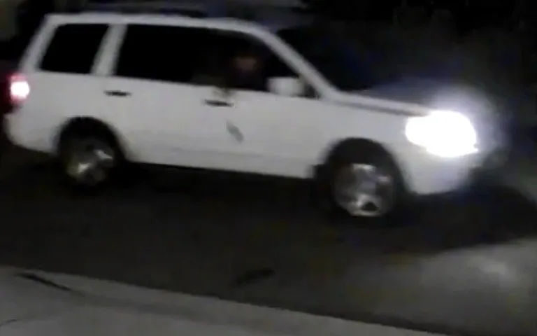 Local lawn care service for homes in San Diego, CA by Mendoza Landscape