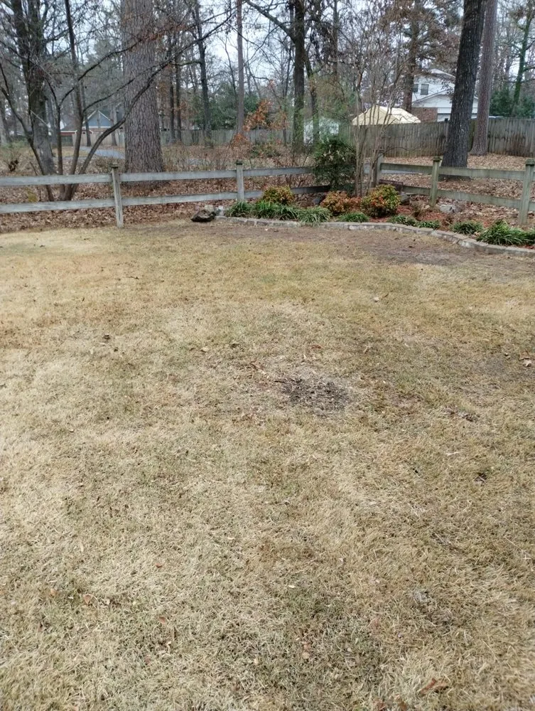 Reliable outdoor landscaping in England, AR - Mendoza Landscaping and Lawn Care