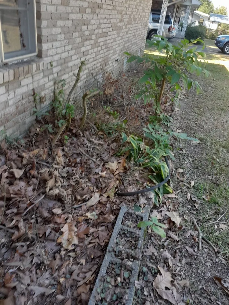 Expert garden landscaping for beautiful yards across England, AR - Mendoza Landscaping and Lawn Care