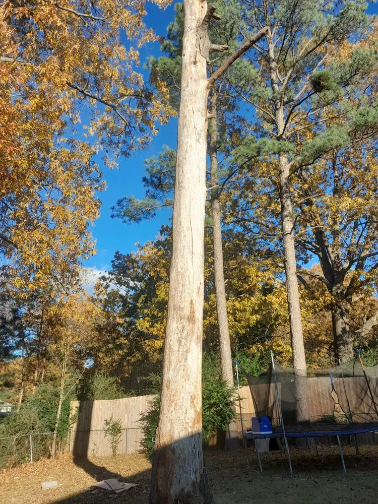 Reliable lawn mowing service for beautiful yards in England, AR by Mendoza Landscaping and Lawn Care