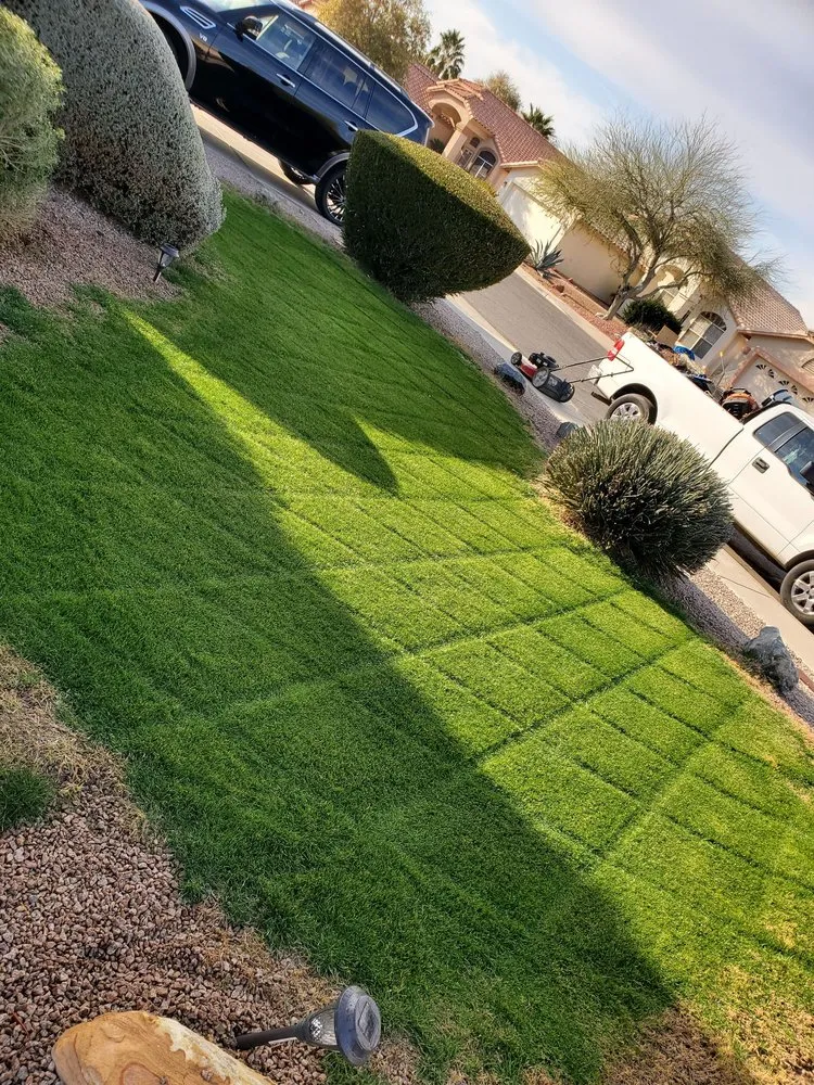 Custom lawn care service in Avondale, AZ by Mendoza Landscaping