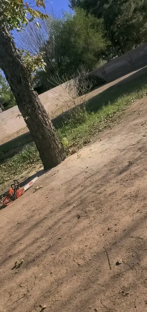 Top-rated garden landscaping for beautiful yards in Avondale, AZ by Mendoza Landscaping