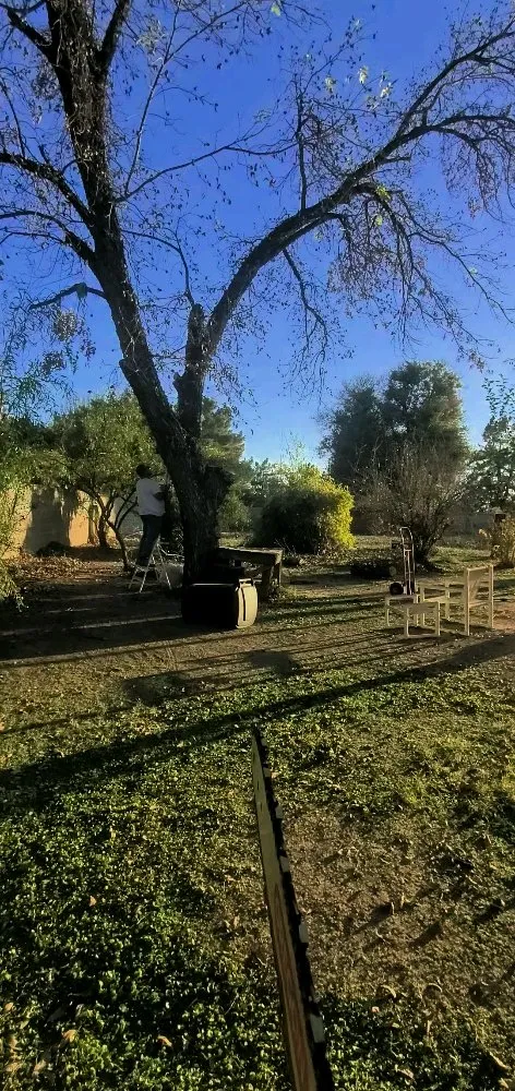 Expert landscape design in Avondale, AZ - Mendoza Landscaping