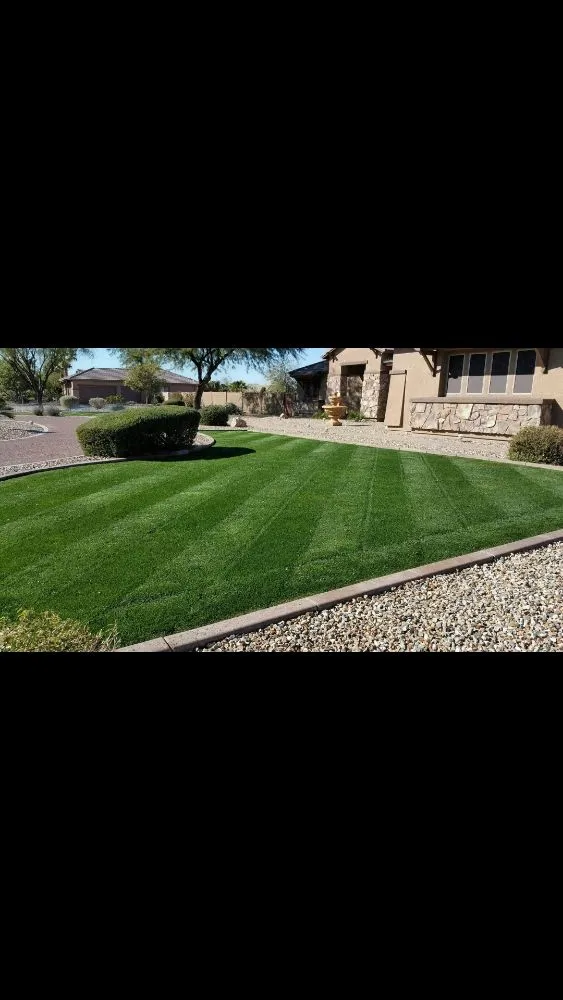 Expert landscape installation in Avondale, AZ - Mendoza Landscaping