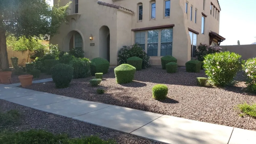 Expert yard cleanup service with custom design across Avondale, AZ - Mendoza Landscaping