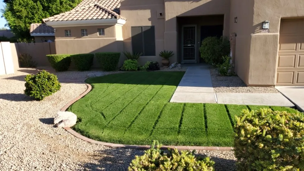 Expert yard cleanup service for year-round maintenance in Avondale, AZ by Mendoza Landscaping