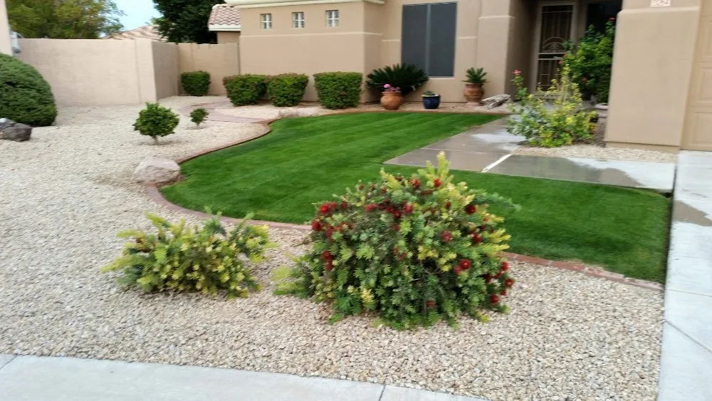Local yard maintenance near you across Avondale, AZ - Mendoza Landscaping