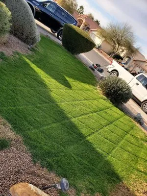 Mendoza Landscaping