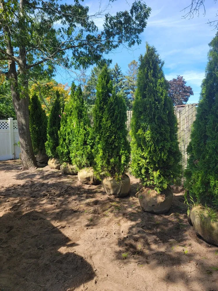 Custom yard maintenance near you in Deer Park, NY by Mendoza Landscaping
