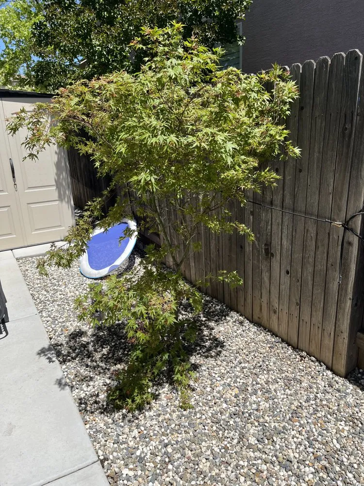 Professional outdoor landscaping in Lincoln, CA by Mendoza Landscaping