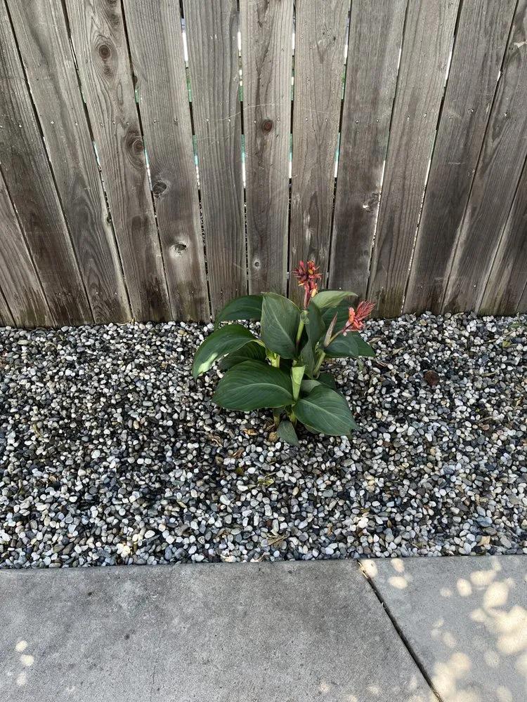 Trusted landscape design experts serving Lincoln, CA - Mendoza Landscaping