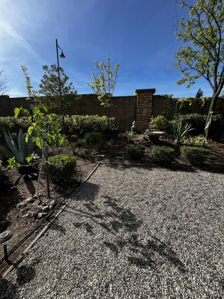 Top-rated lawn care service for homes in Lincoln, CA by Mendoza Landscaping