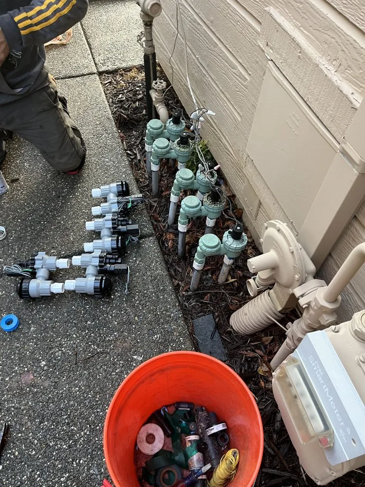 Top-rated yard cleanup service in Lincoln, CA by Mendoza Landscaping