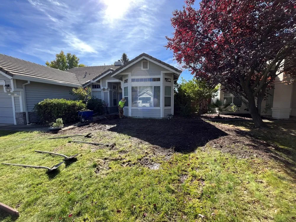 Professional lawn care service in Lincoln, CA by Mendoza Landscaping
