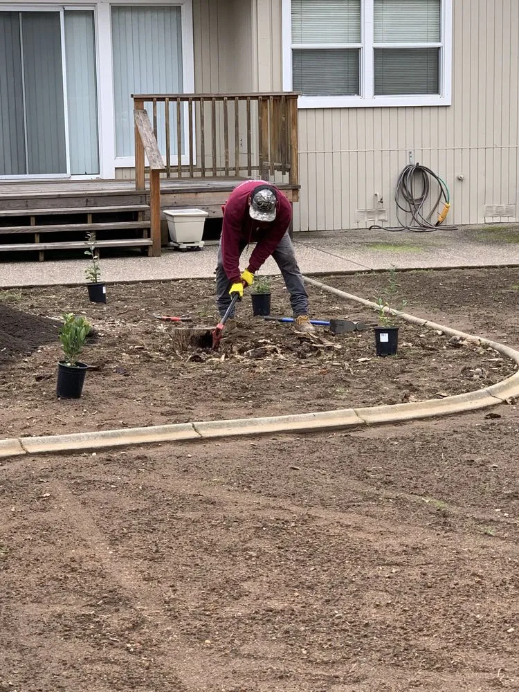 Top-rated residential landscaping for residential properties in Lincoln, CA by Mendoza Landscaping